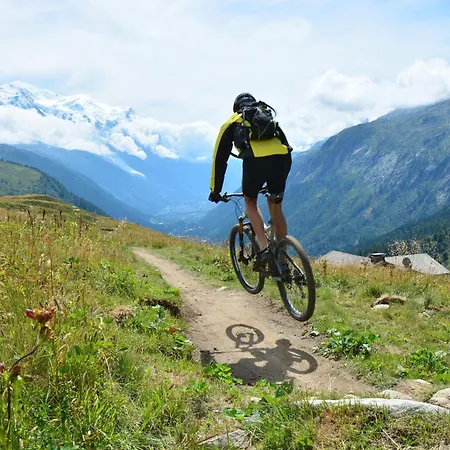 Grand Roc - Campanules 213 - Happy * Chamonix