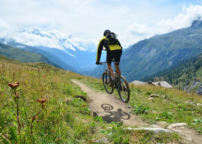 Résidence Grand Roc - Campanules 213 - Happy * Chamonix Mont Blanc